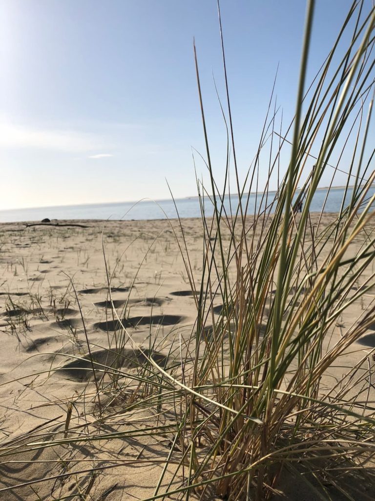 Bassin d'Arcachon